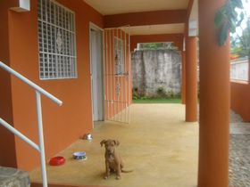 Mi Paraiso Tropical 1
